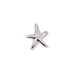 Silver Starfish